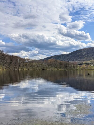 Lindsay-Parsons Biodiversity Preserve - Spencer, NY