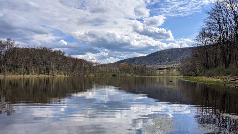 Lindsay-Parsons Biodiversity Preserve - Spencer, NY