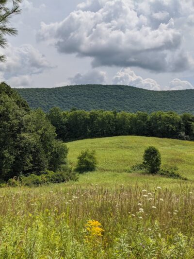 Lindsay-Parsons Biodiversity Preserve - Spencer, NY