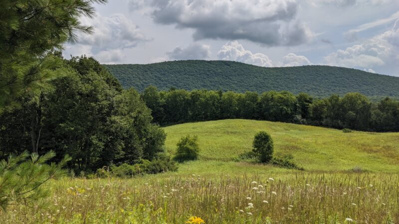 Lindsay-Parsons Biodiversity Preserve - Spencer, NY