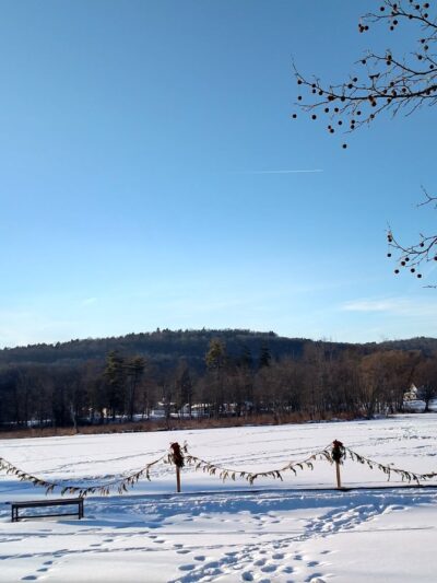 Nichols Pond - Spencer, NY