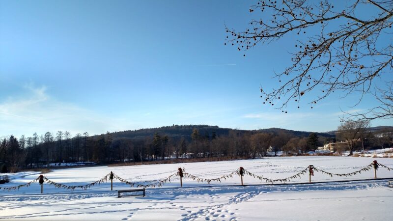 Nichols Pond - Spencer, NY