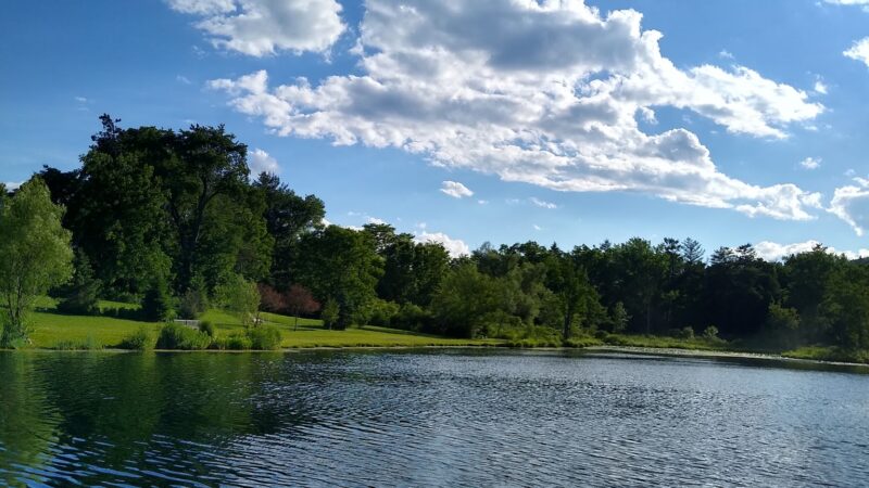 Nichols Pond - Spencer, NY