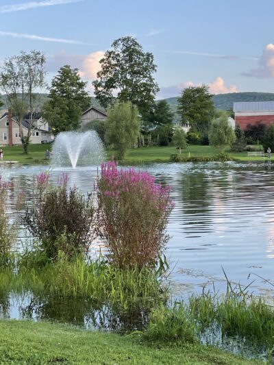 Nichols Pond - Spencer, NY