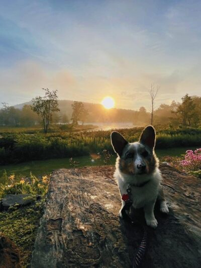 Nichols Pond - Spencer, NY