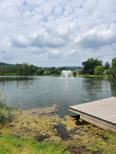 Nichols Pond - Spencer, NY
