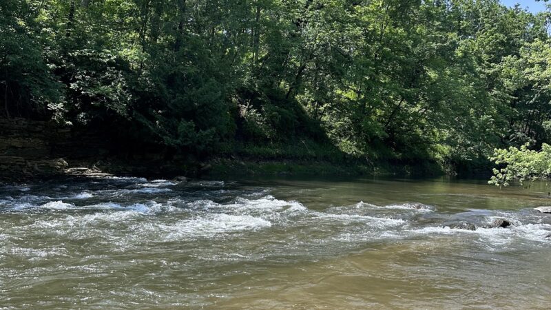 Riverside Park Campground - Spillville, IA