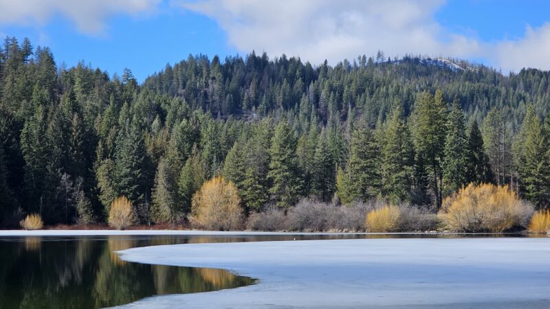 Fireside Park - Spirit Lake Picnic Area - Spirit Lake, ID