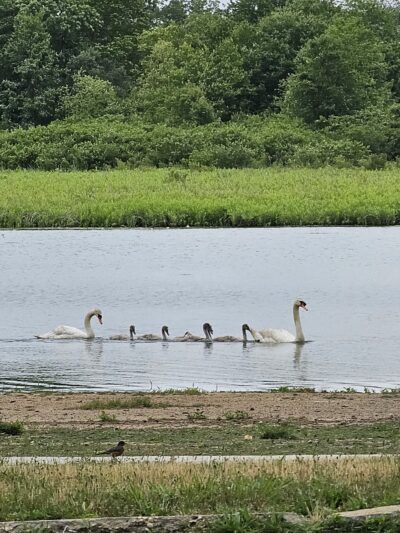 Mundy Avenue Park - Spotswood, NJ