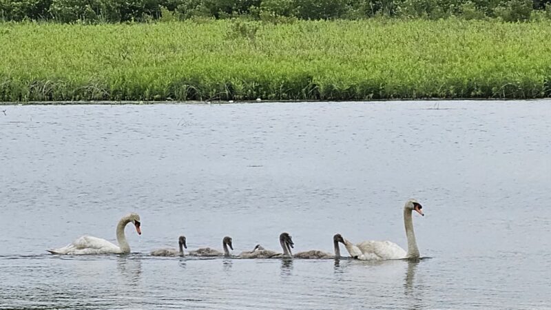 Mundy Avenue Park - Spotswood, NJ