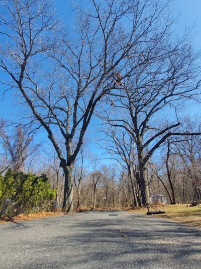 Mundy Avenue Park - Spotswood, NJ