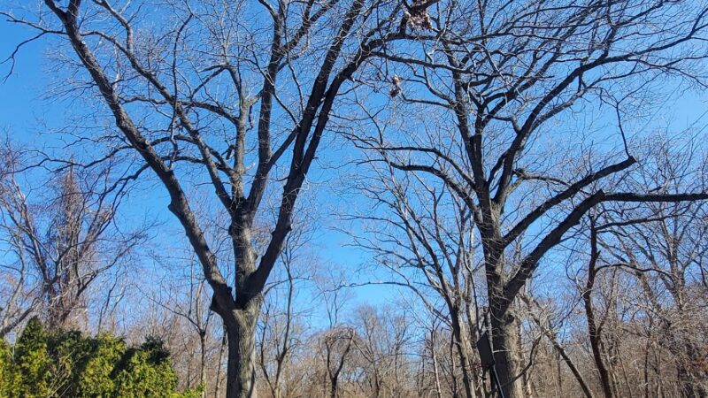 Mundy Avenue Park - Spotswood, NJ