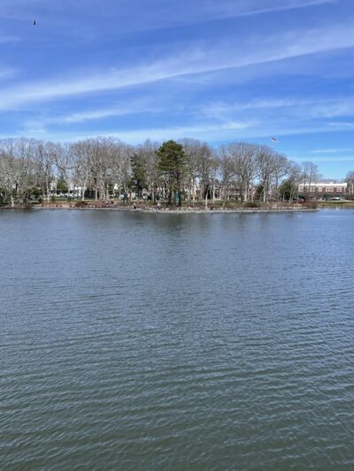 Divine Park - Spring Lake, NJ