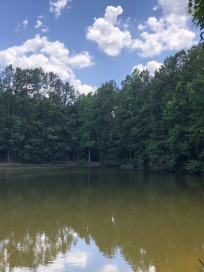 Bibi & Mini-Me Bush Dog Park - Spring, TX