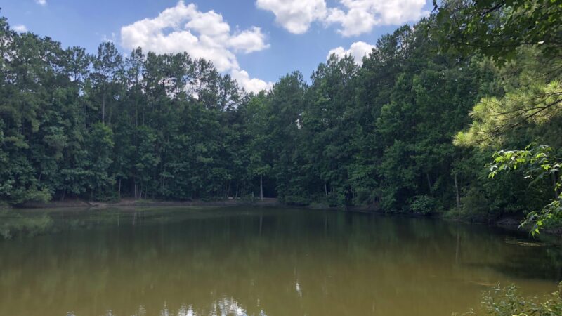 Bibi & Mini-Me Bush Dog Park - Spring, TX