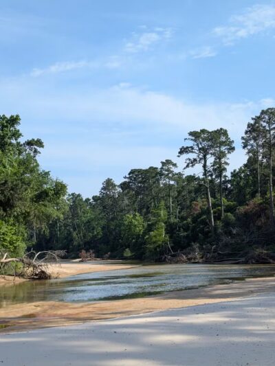 Bibi & Mini-Me Bush Dog Park - Spring, TX