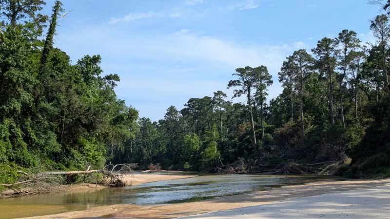 Bibi & Mini-Me Bush Dog Park - Spring, TX