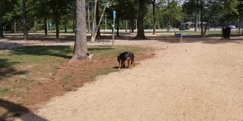 Bibi & Mini-Me Bush Dog Park - Spring, TX
