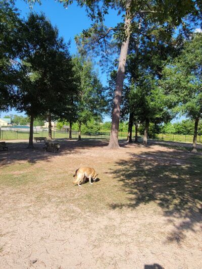 Meyer Dog Park - Spring, TX