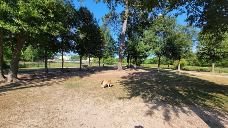 Meyer Dog Park - Spring, TX