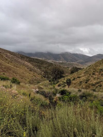 Bancroft Creek - Spring Valley, CA