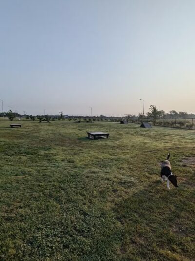 Dog Park Shaw Family Park - Springdale, AR