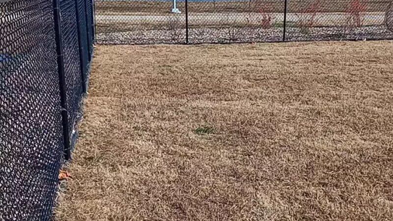 Dog Park Shaw Family Park - Springdale, AR