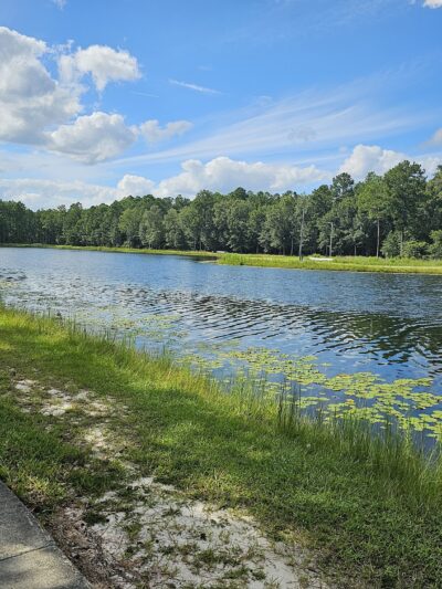 Baker Lake - Springfield, GA