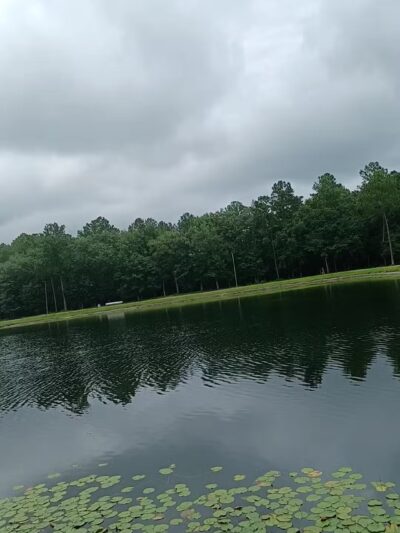 Baker Lake - Springfield, GA