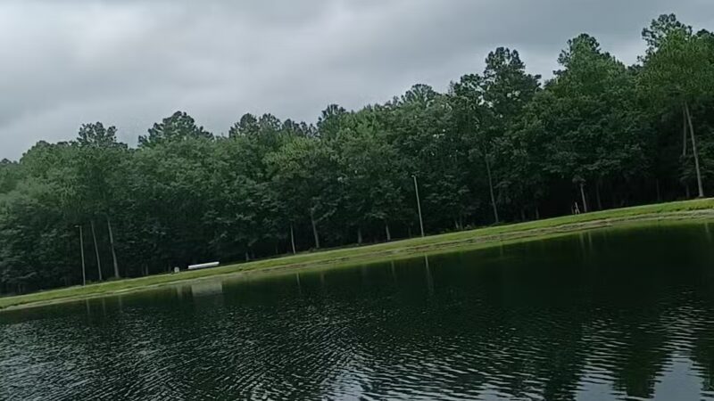 Baker Lake - Springfield, GA