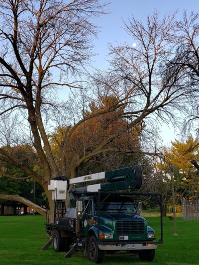 Jaycee Park - Springfield, IL