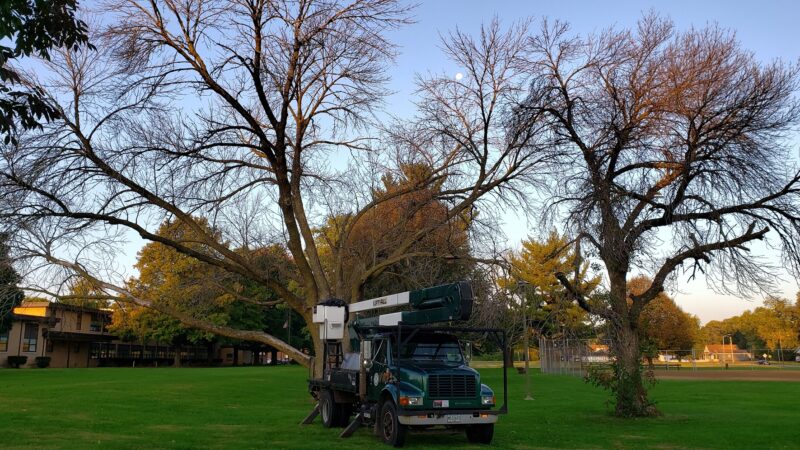 Jaycee Park - Springfield, IL