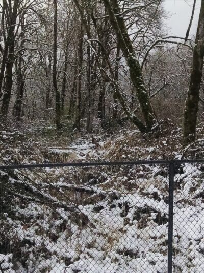 Georgia Pacific Park - Springfield, OR