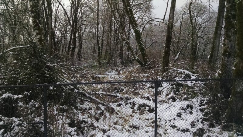 Georgia Pacific Park - Springfield, OR