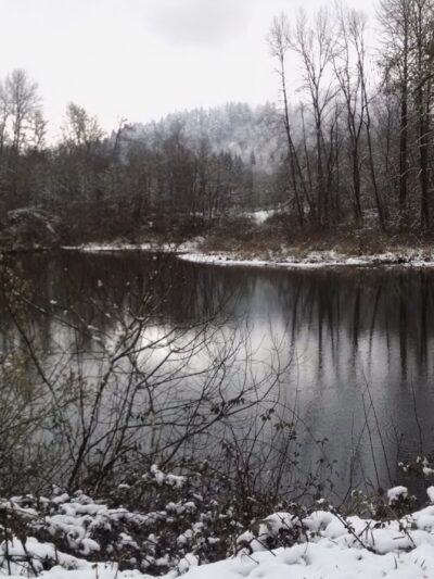 Georgia Pacific Park - Springfield, OR