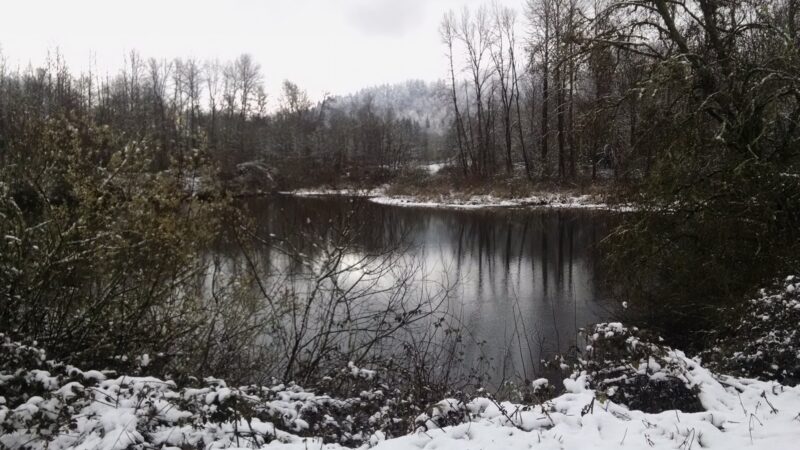 Georgia Pacific Park - Springfield, OR