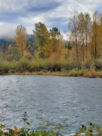 Georgia Pacific Park - Springfield, OR