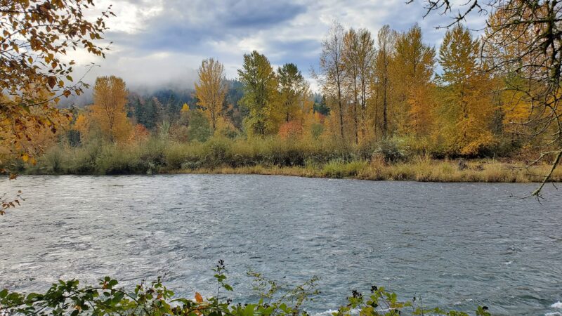 Georgia Pacific Park - Springfield, OR
