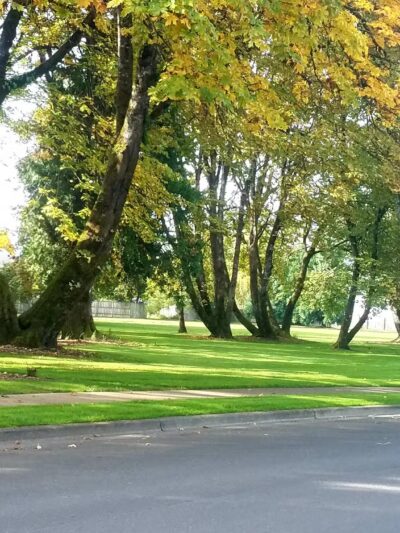 Douglas Gardens Park - Springfield, OR