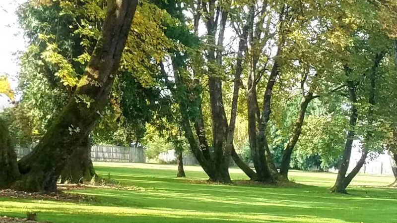 Douglas Gardens Park - Springfield, OR