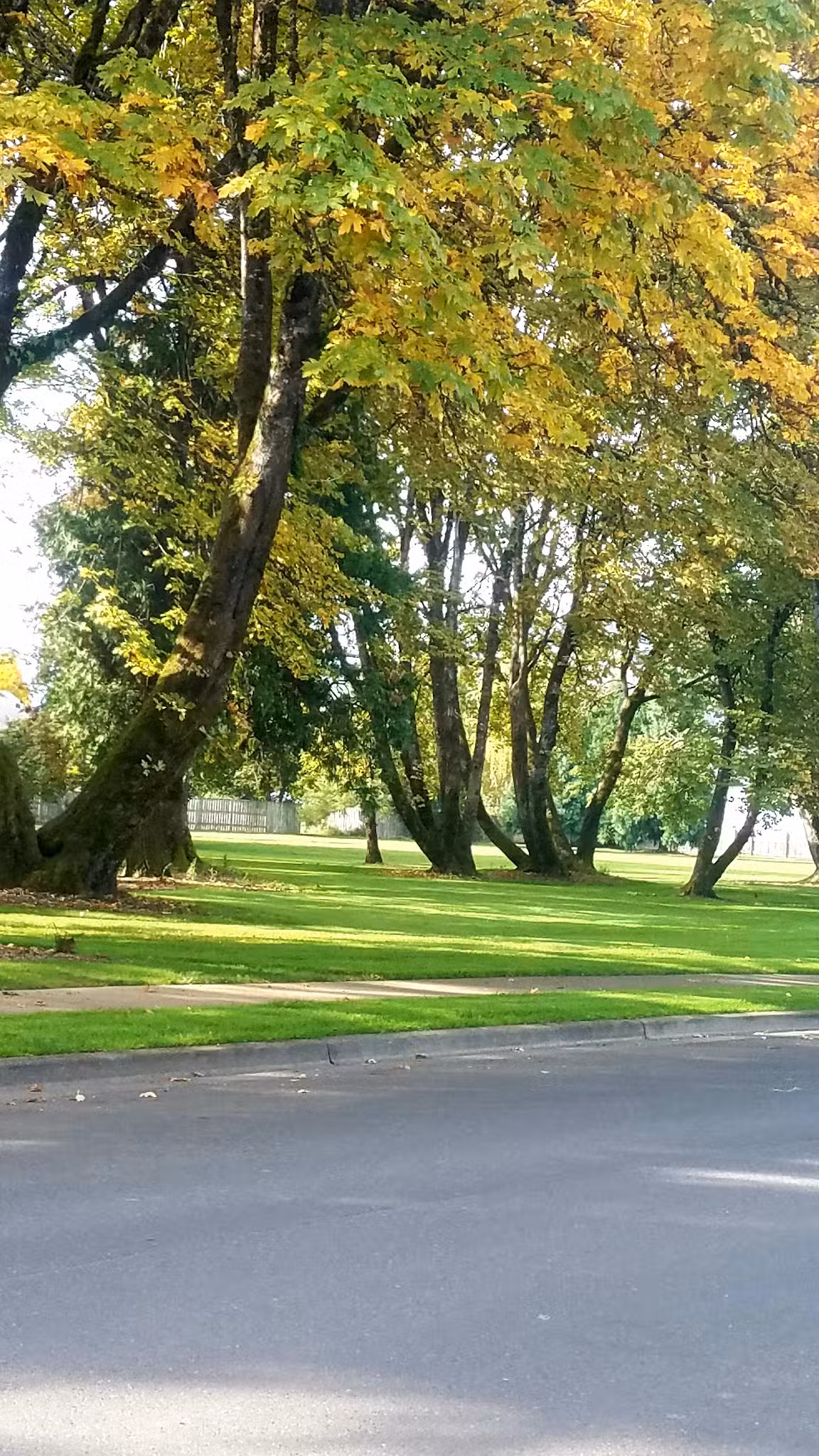 Douglas Gardens Park - Springfield, OR