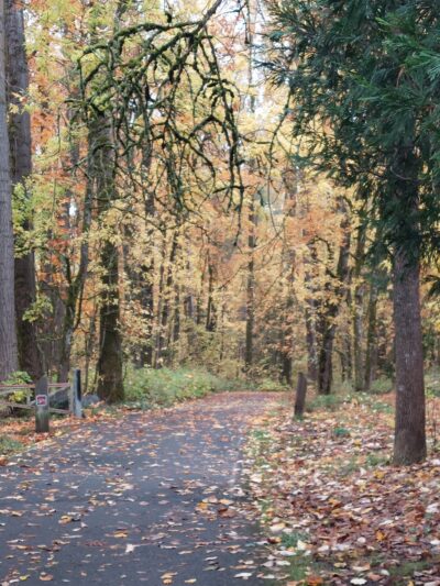 Eastgate Woodlands - Springfield, OR