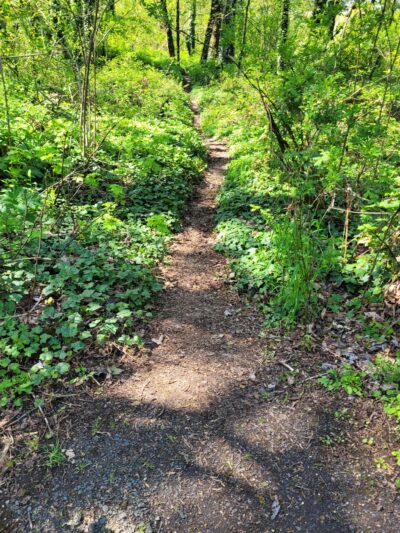 Eastgate Woodlands - Springfield, OR