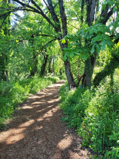 Eastgate Woodlands - Springfield, OR