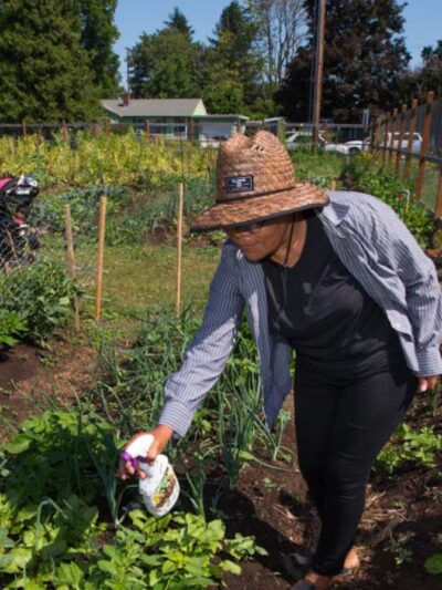 Gamebird Park - Springfield, OR