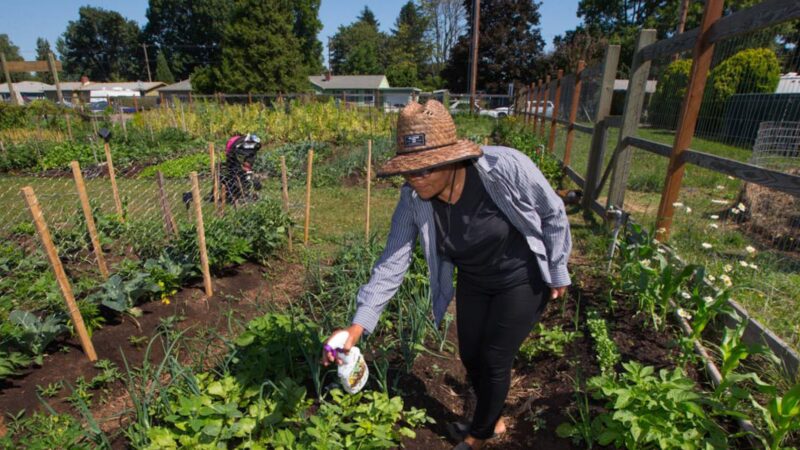 Gamebird Park - Springfield, OR