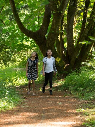 Jack B Lively Memorial Park - Springfield, OR