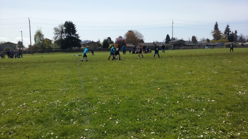 Page Park - Springfield, OR