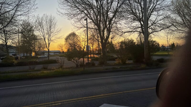 Pride Park - Springfield, OR