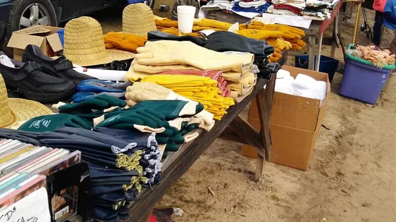 Springfield Flea Market - Springfield, SC